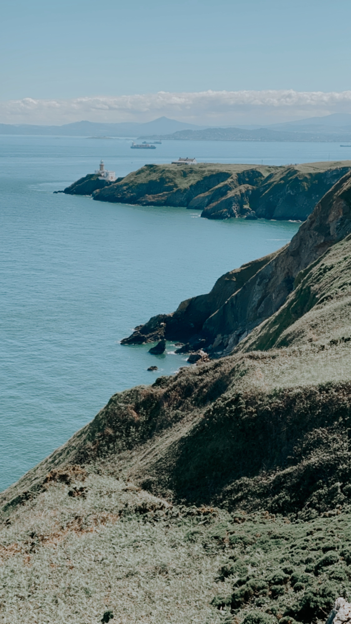 Rose Reichart | Intuitive Kunst für Dein inneres Zuhause