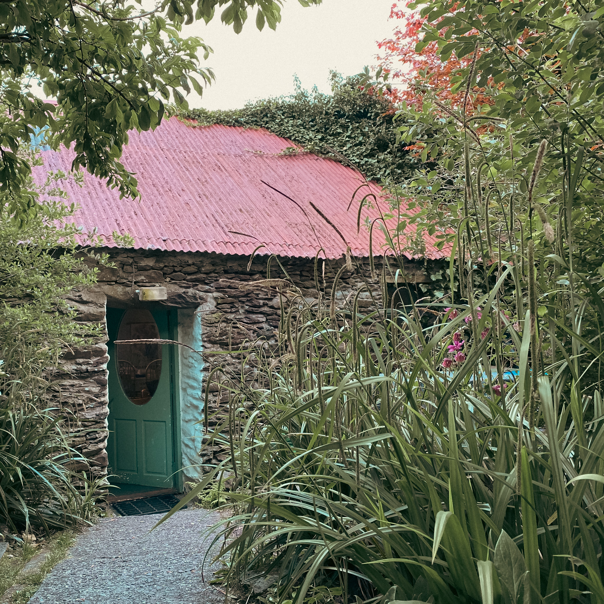 Rose Reichart | Intuitive Kunst für Dein inneres Zuhause