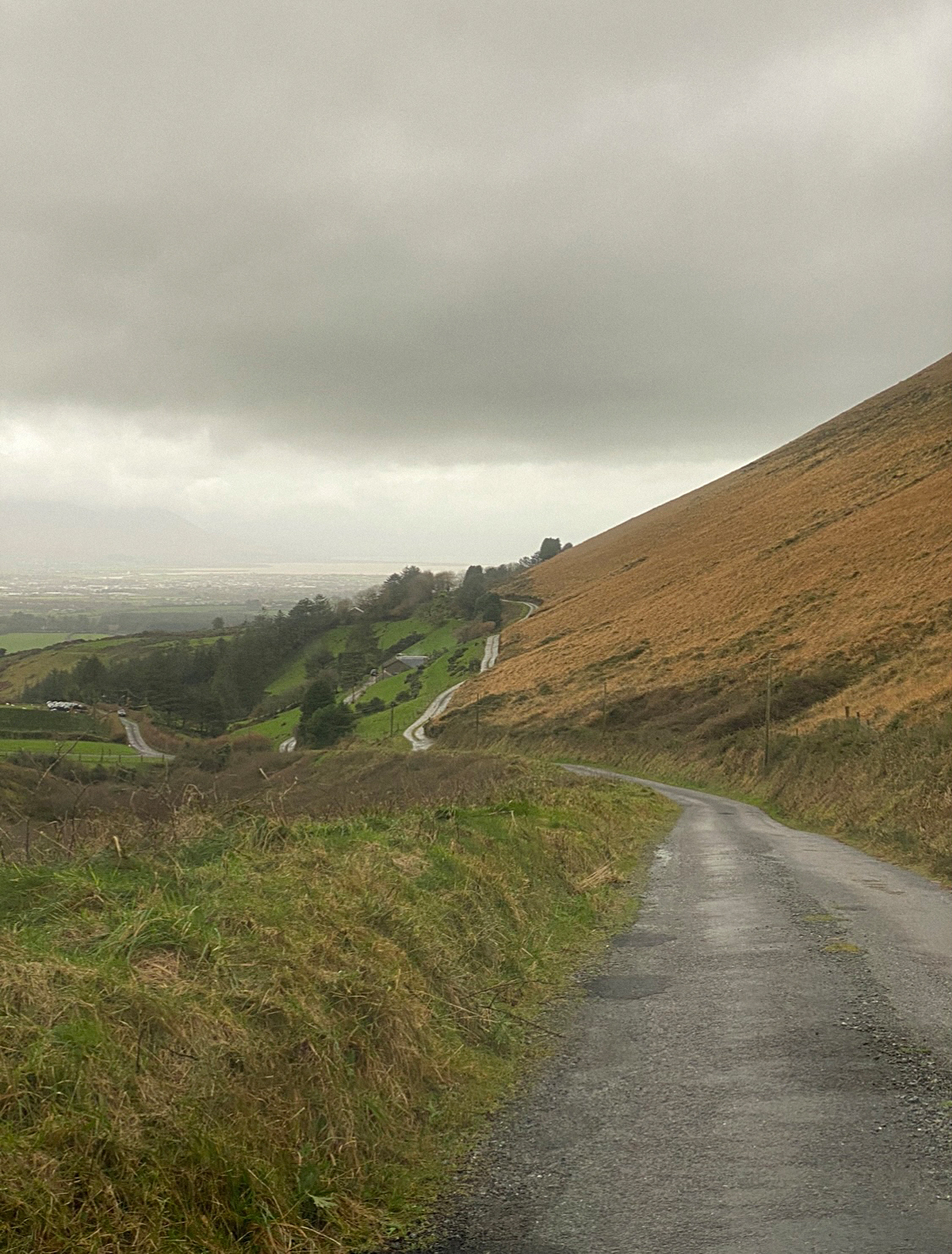 Rose Reichart | Intuitive Abstract Art for your Inner Home