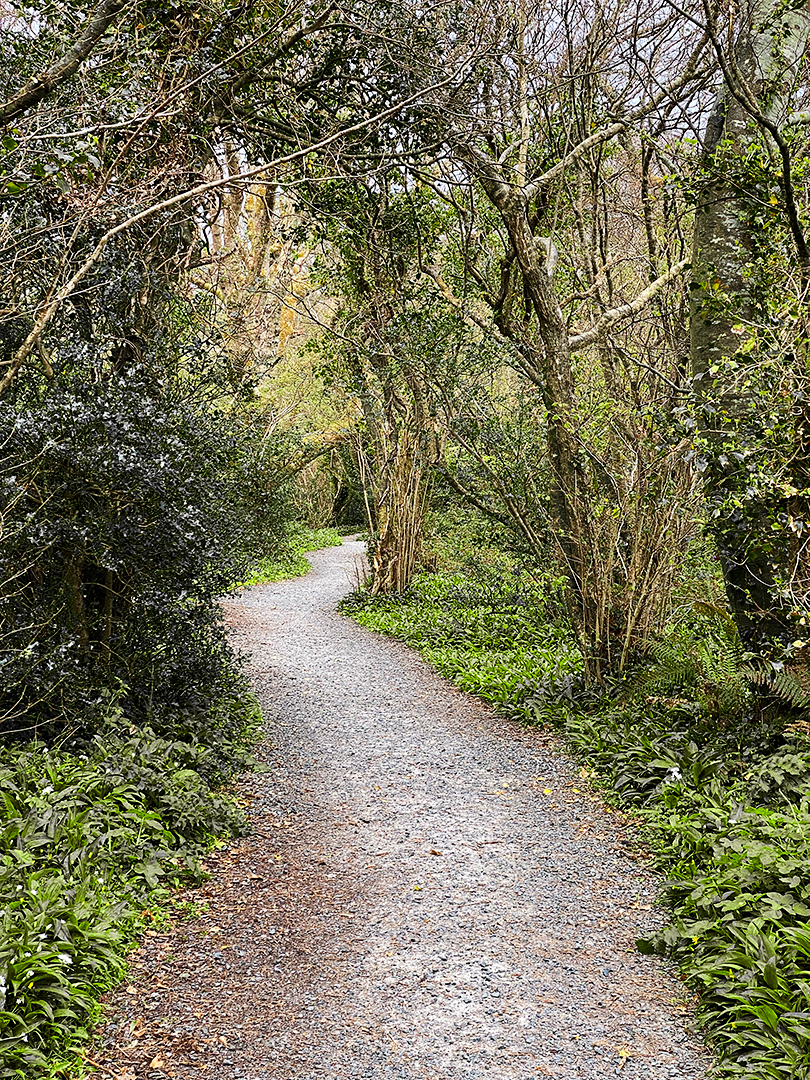 Rose Reichart | Intuitive Abstract Art for your Inner Home