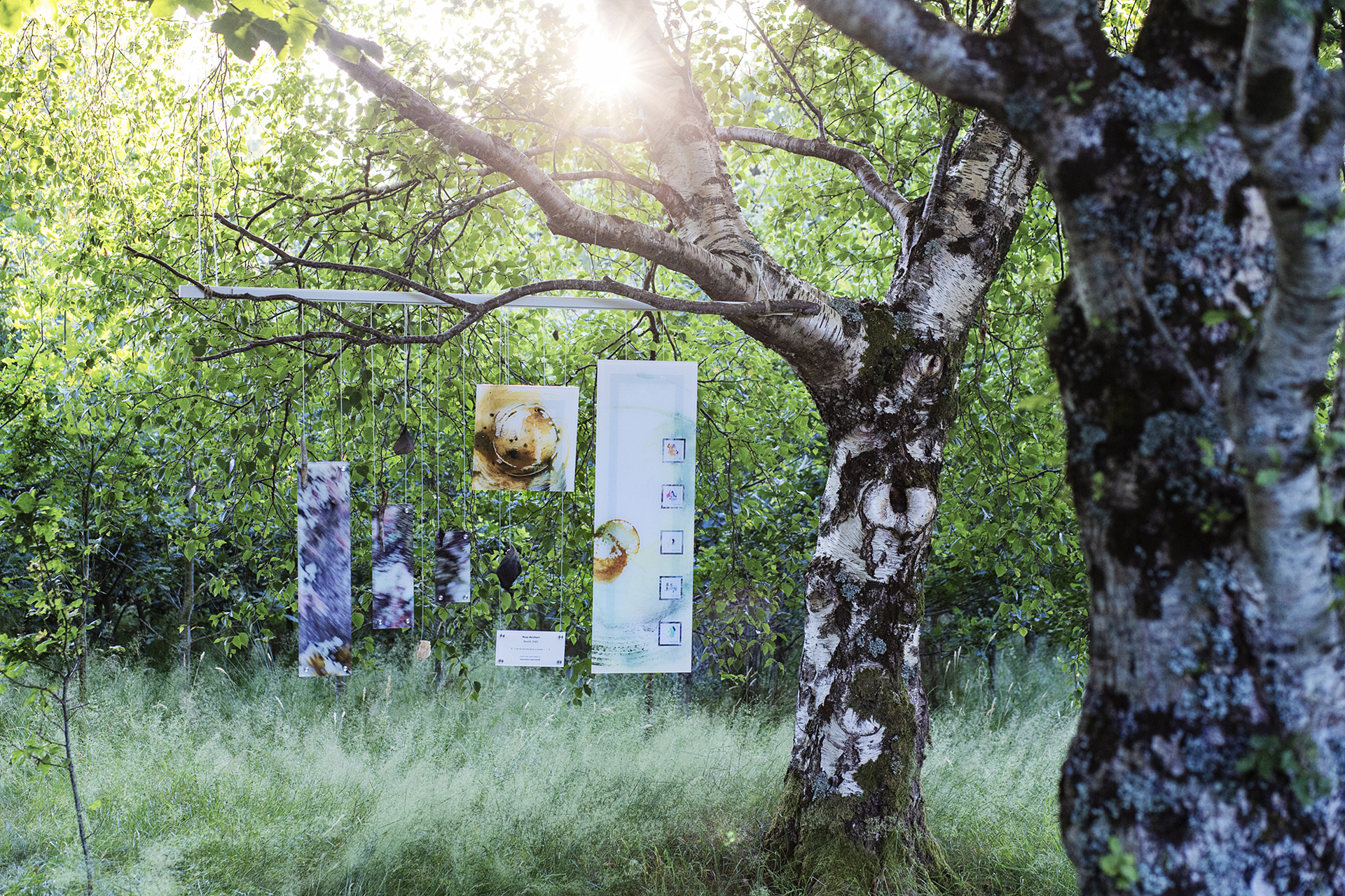 Rose Reichart | Intuitive Abstract Art for your Inner Home